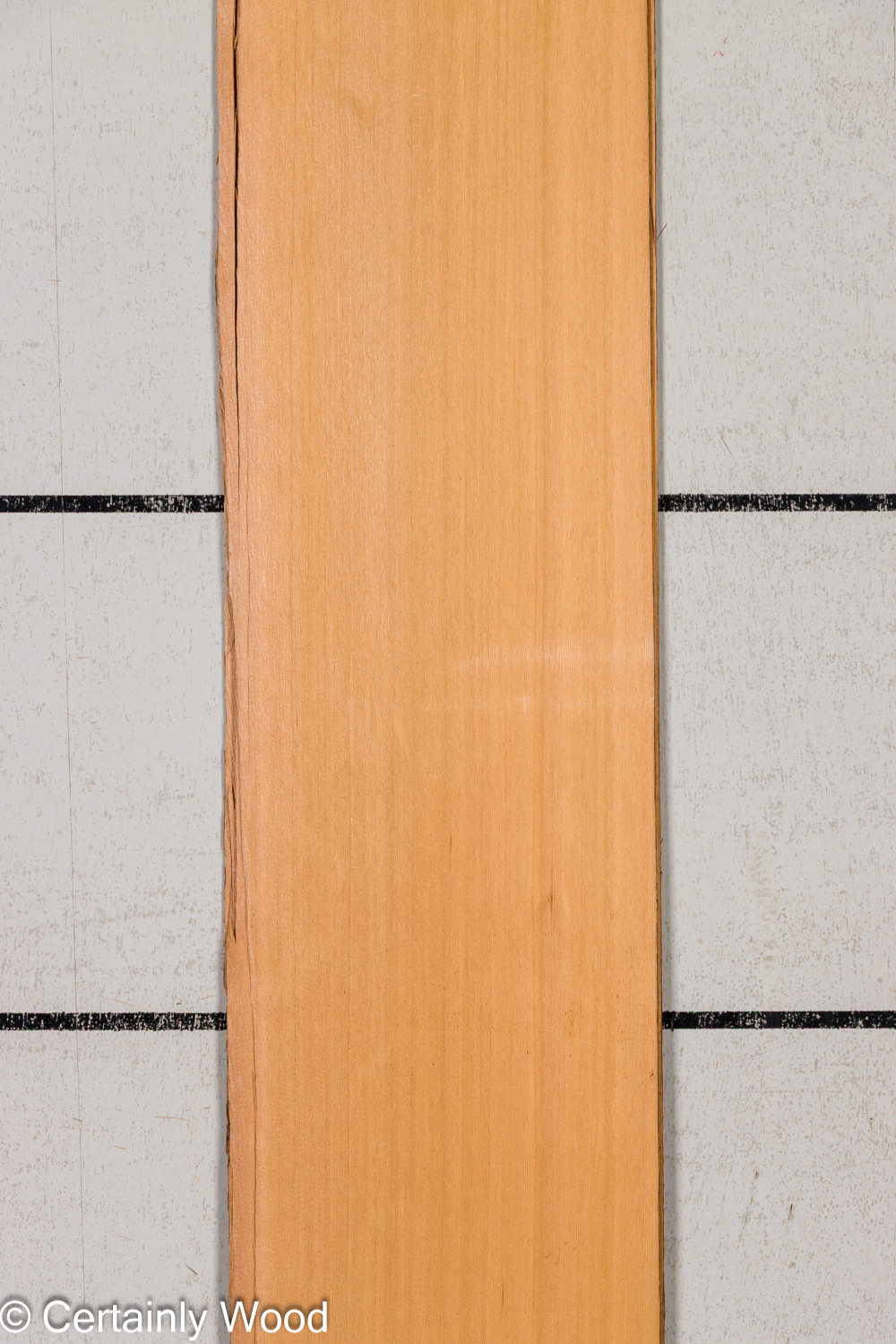 Featured Product Image