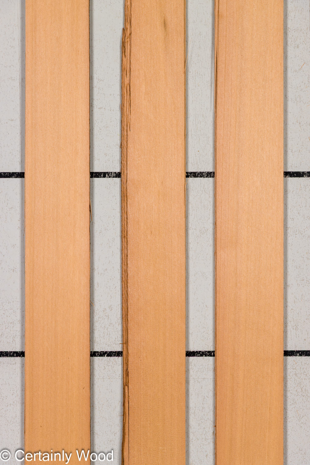 Featured Product Image