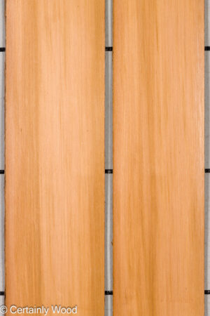 1/16 R CEDAR 26354