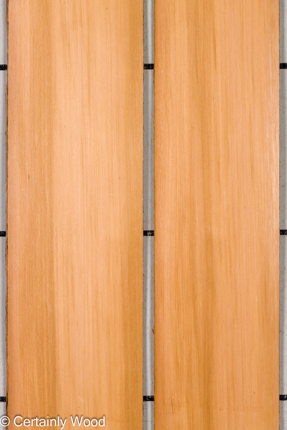Featured Product Image