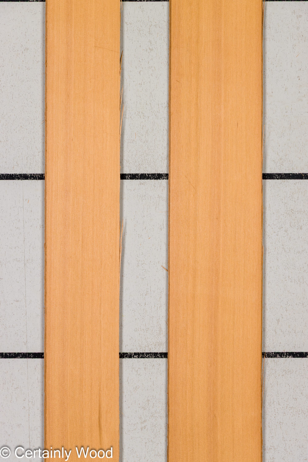 Featured Product Image