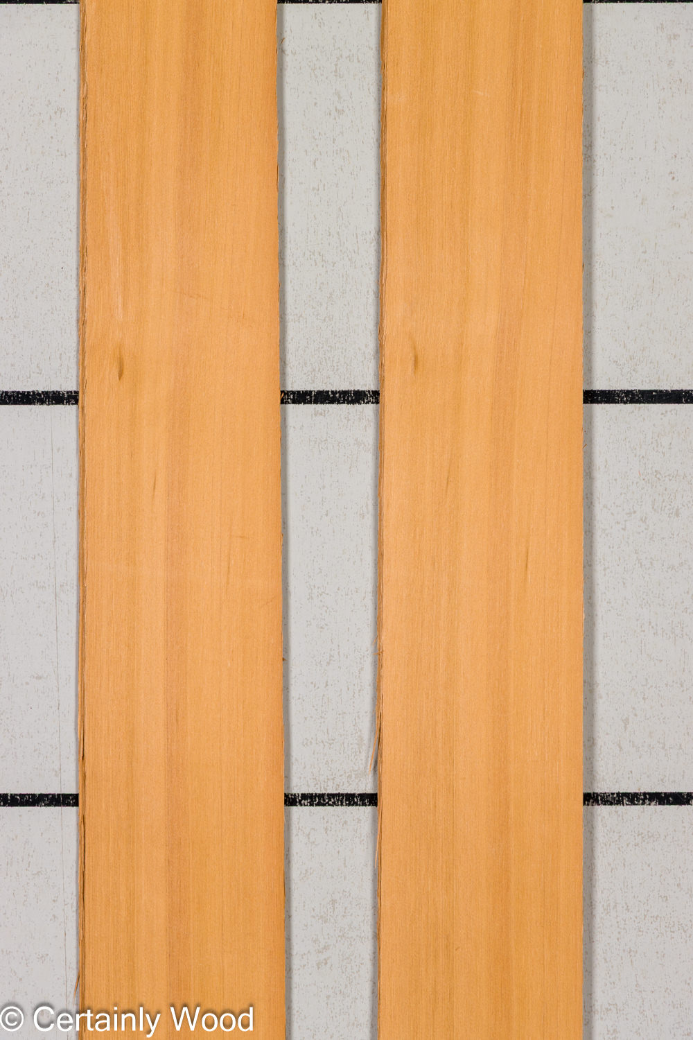 Featured Product Image