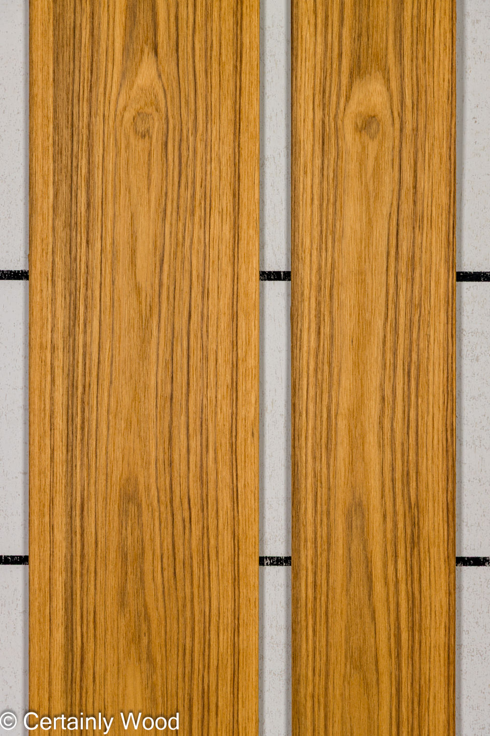 Featured Product Image