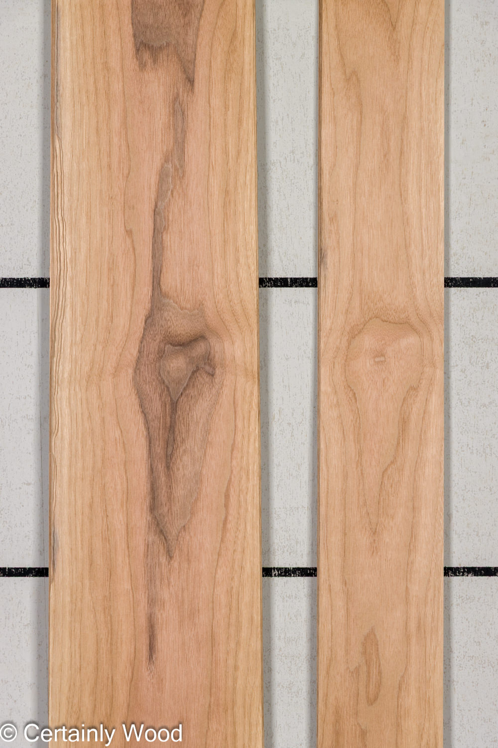 Featured Product Image
