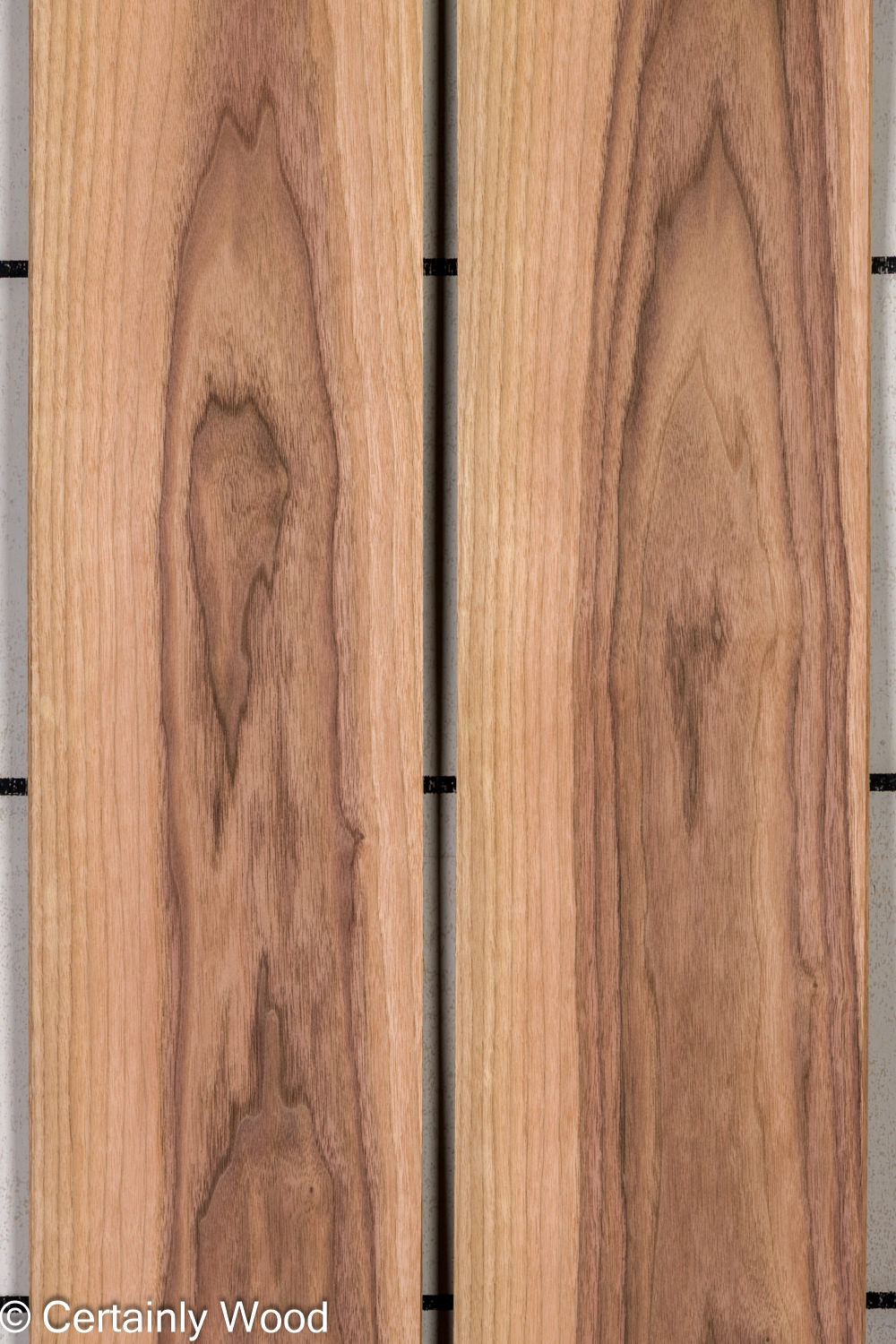 Featured Product Image
