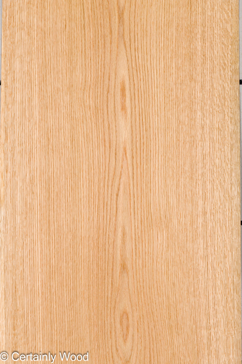 Featured Product Image
