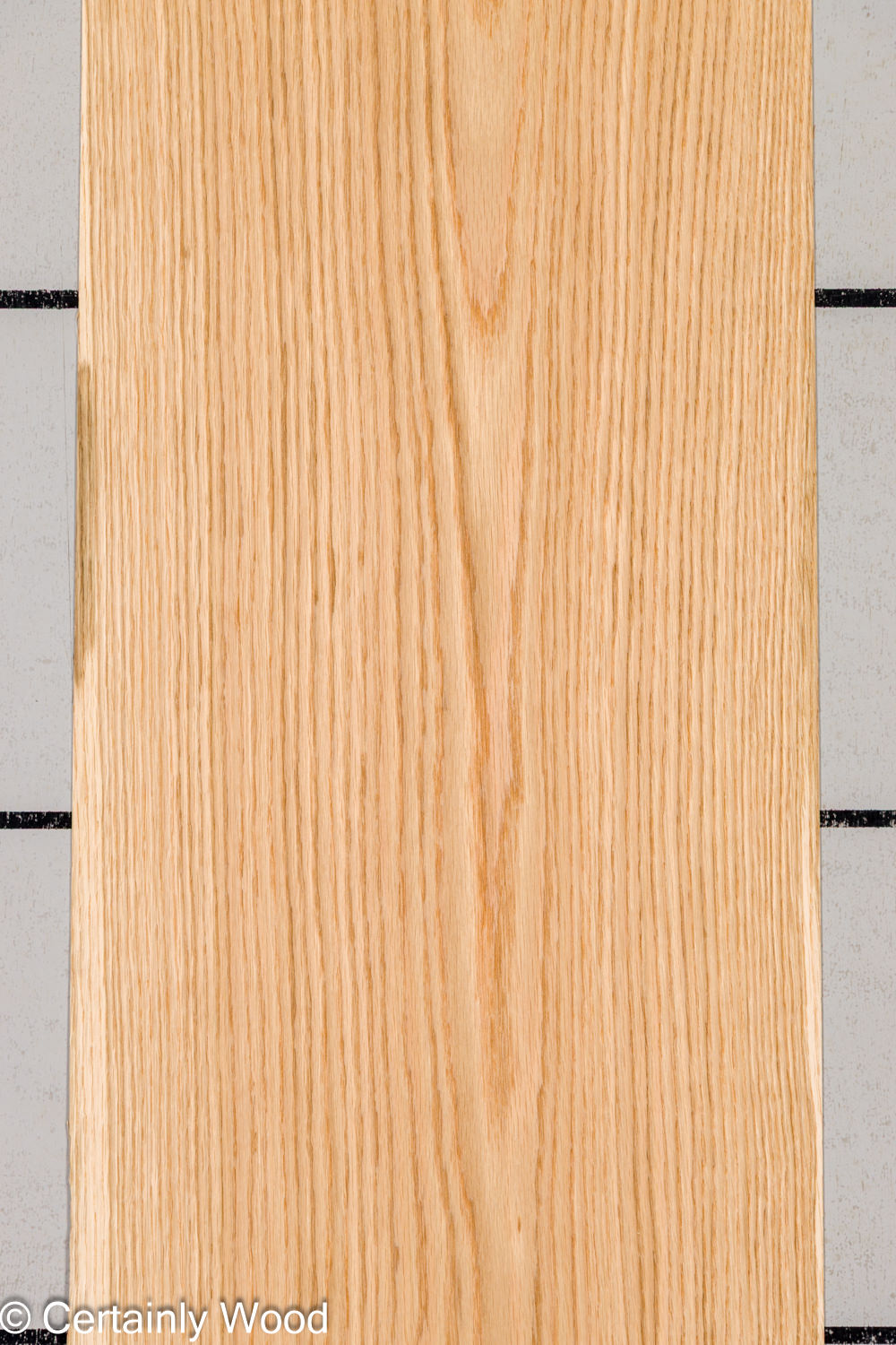Featured Product Image