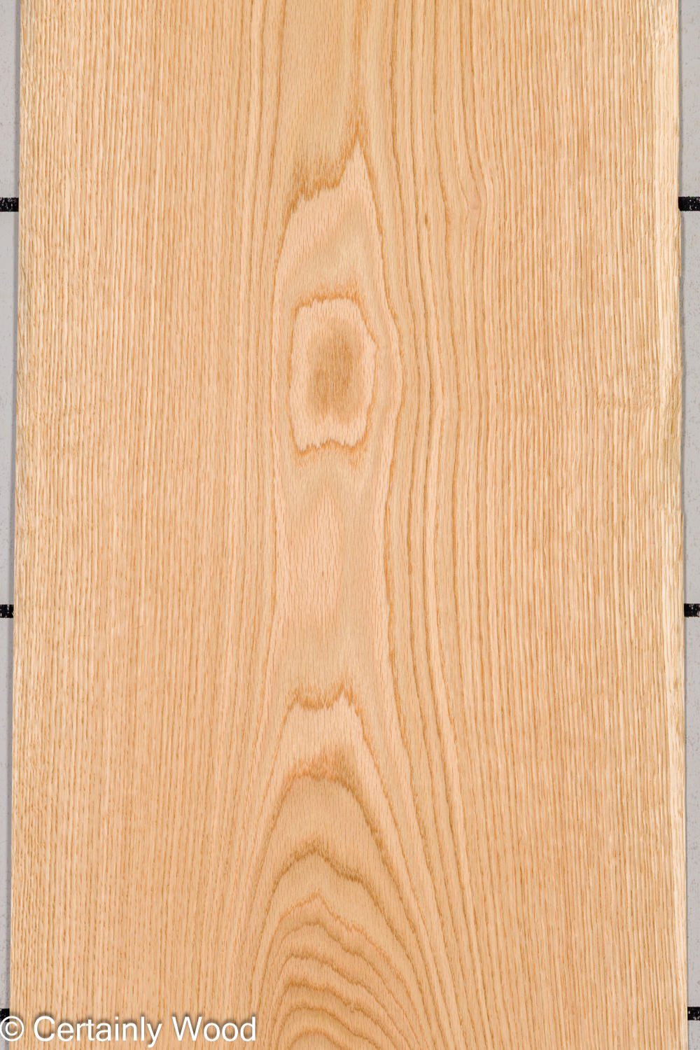 Featured Product Image