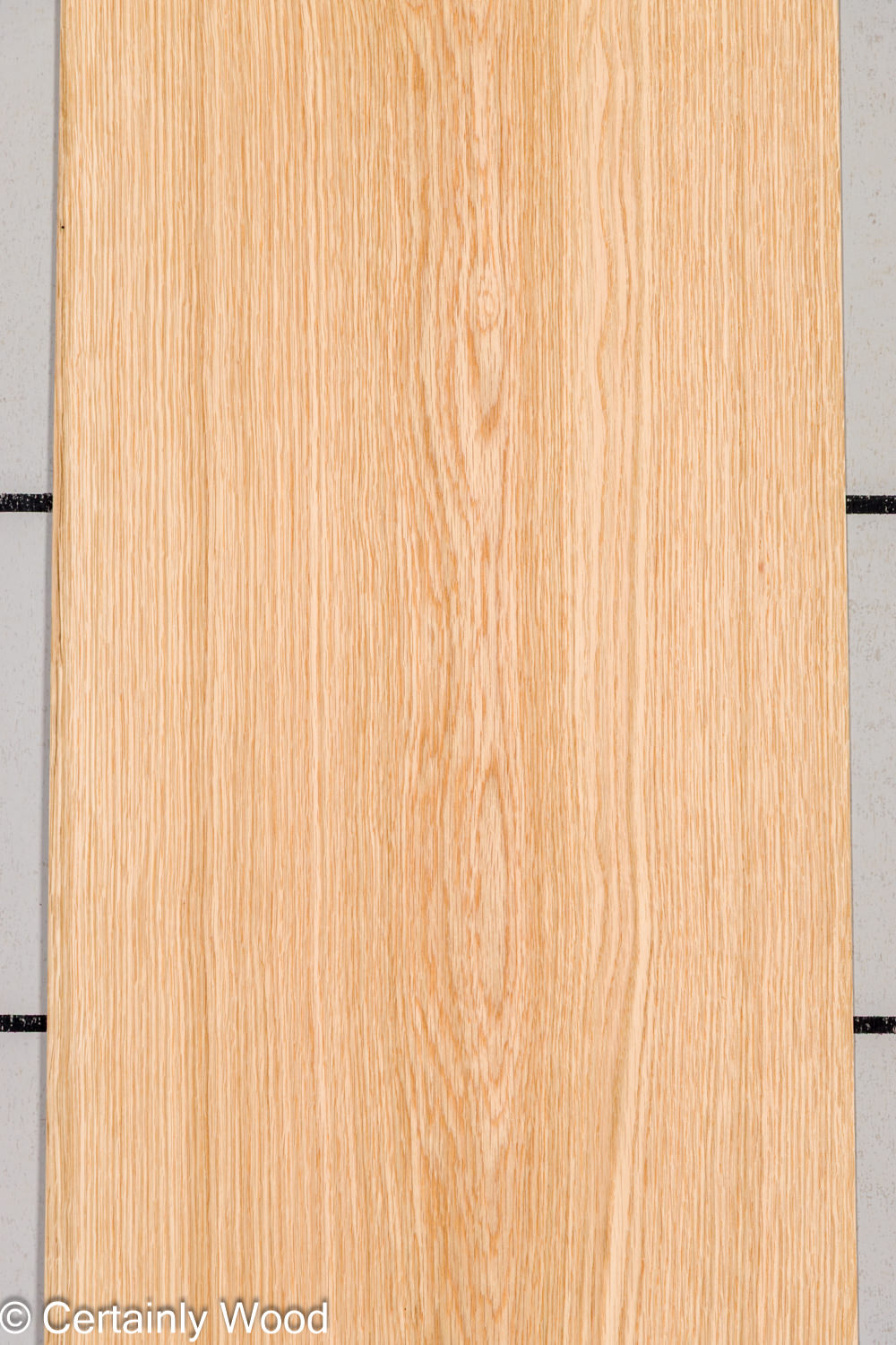 Featured Product Image
