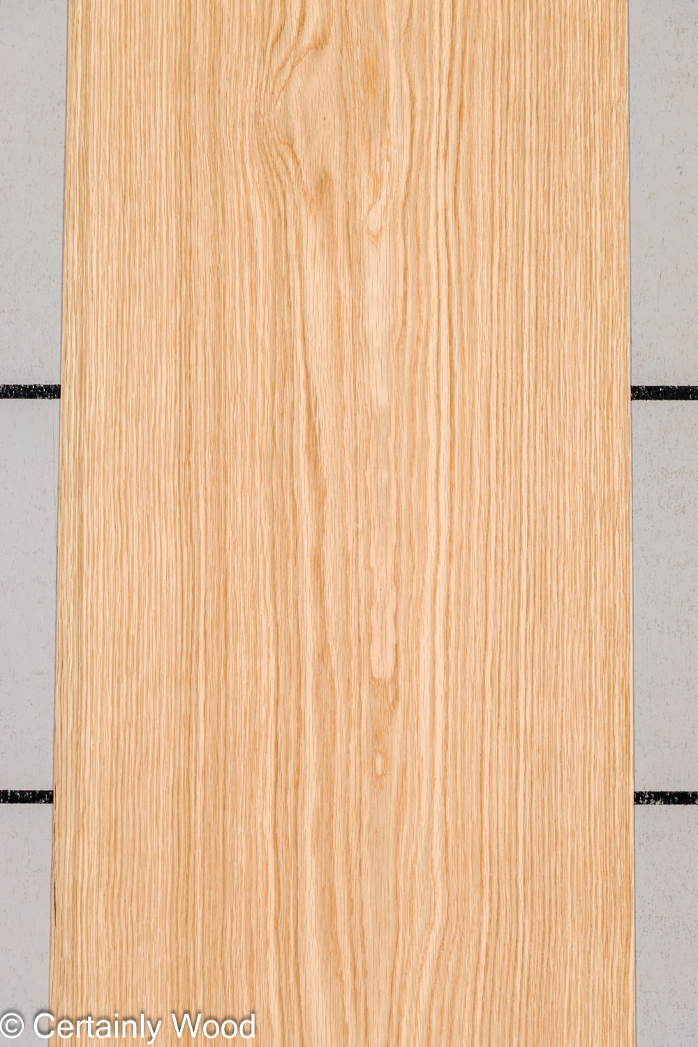 Featured Product Image