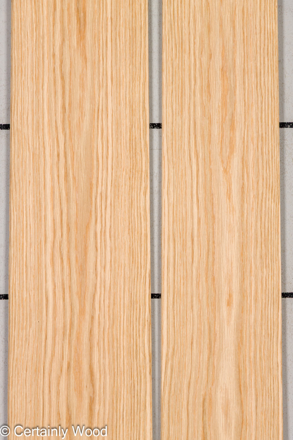 Featured Product Image