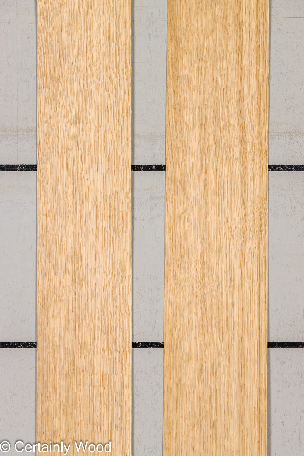 Featured Product Image