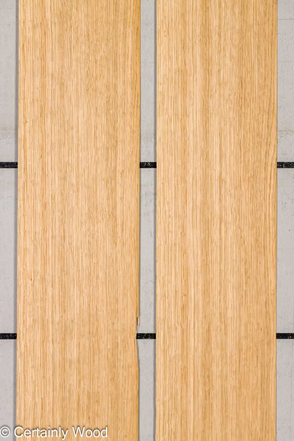 Featured Product Image