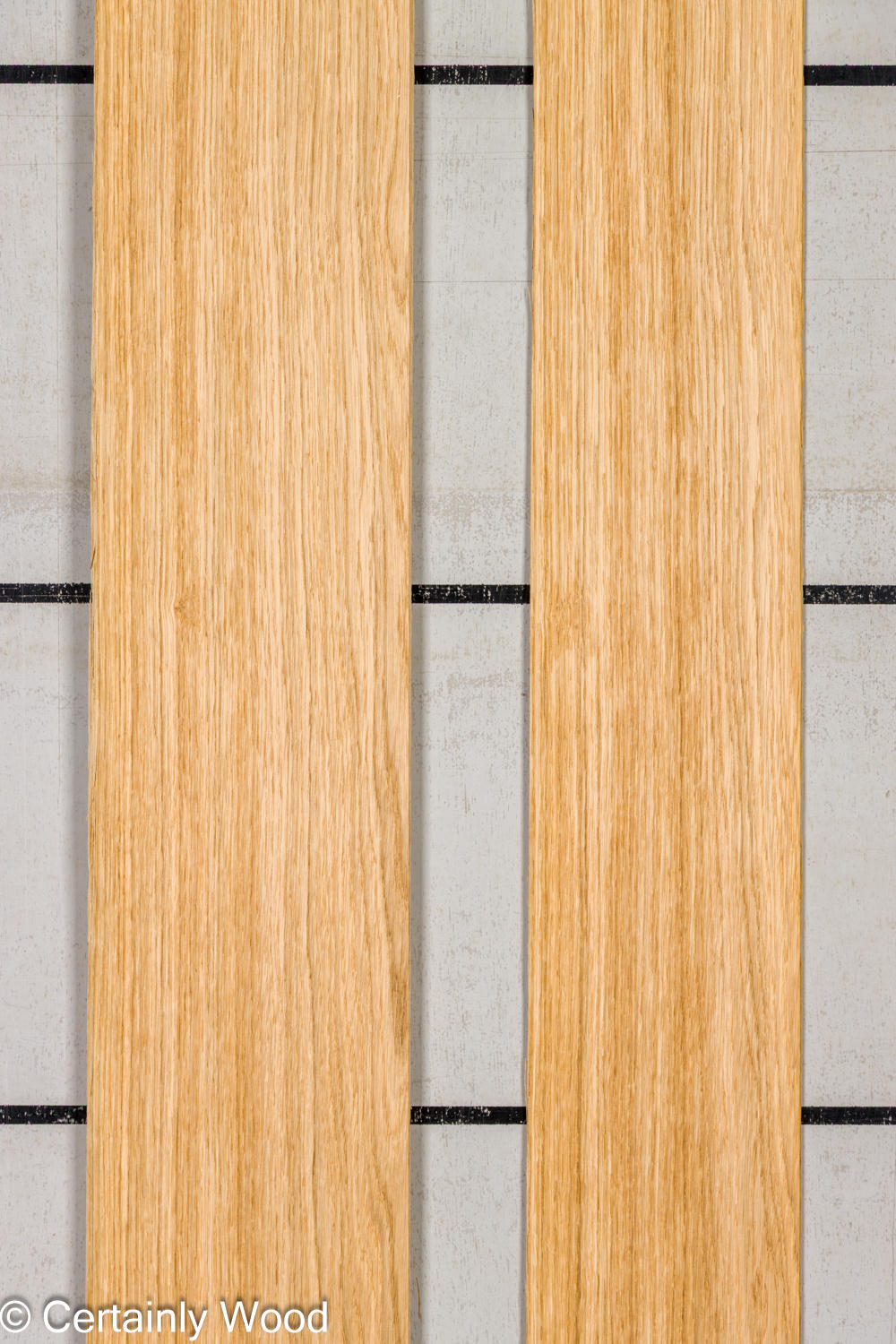 Featured Product Image