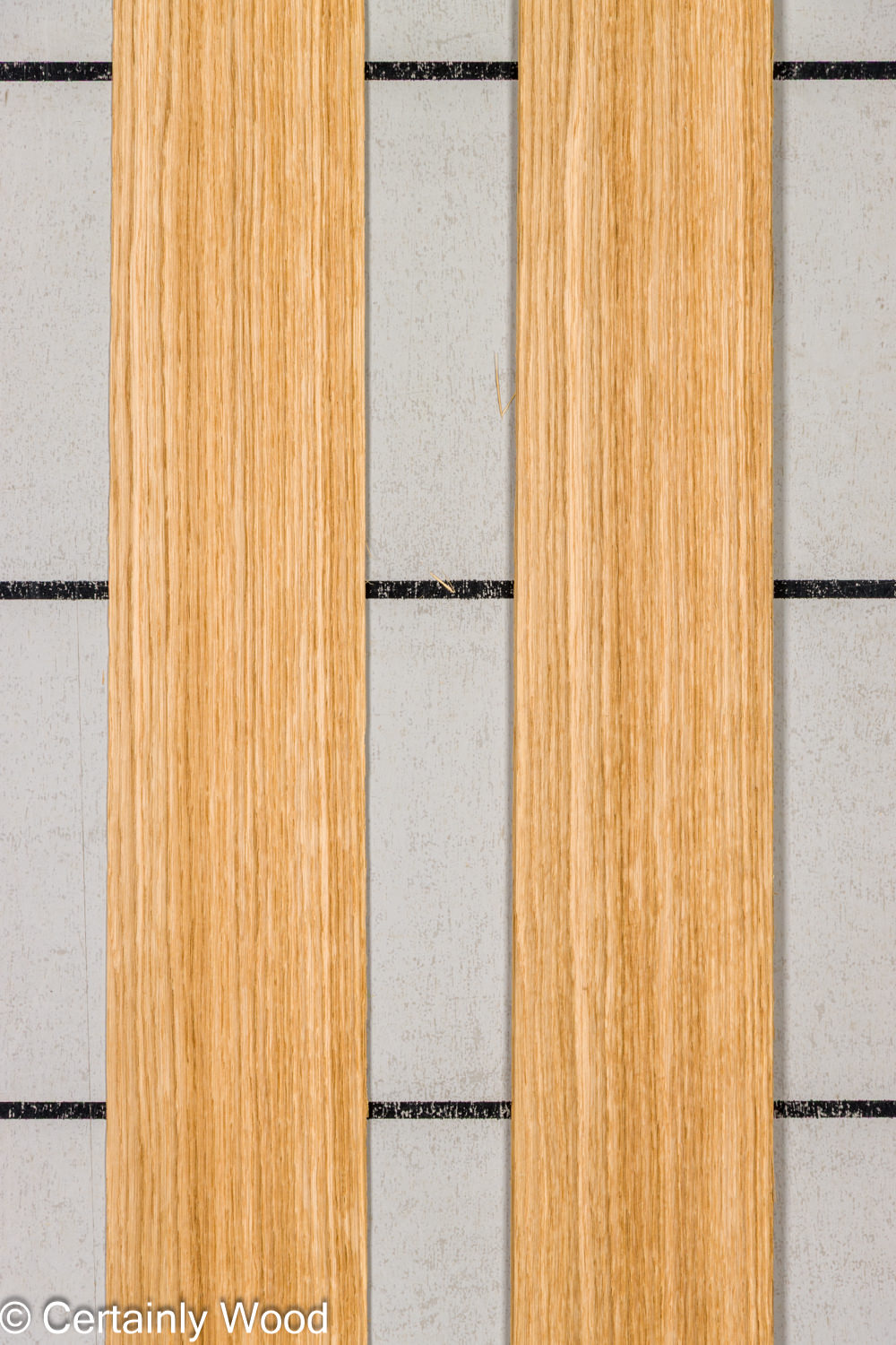 Featured Product Image