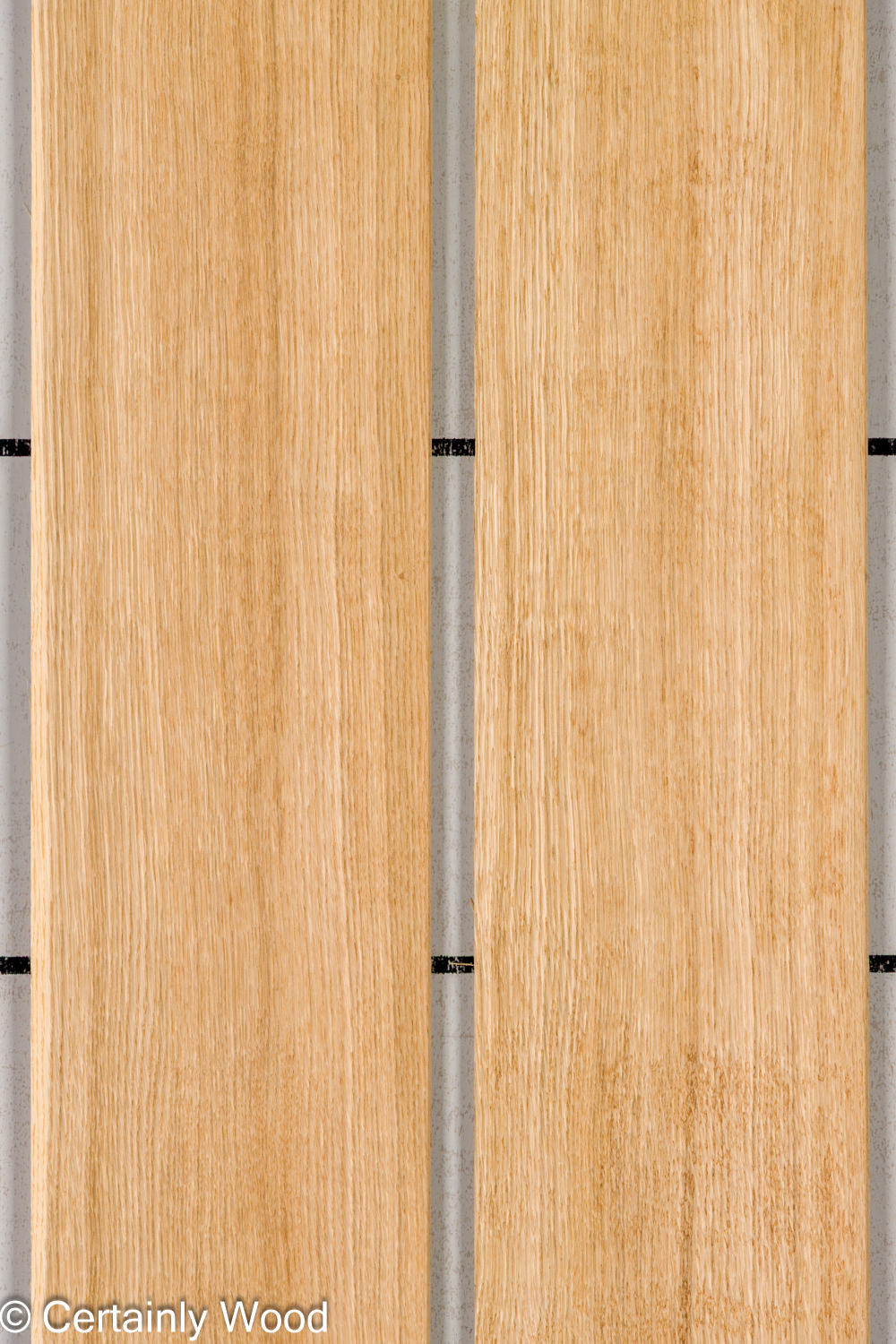 Featured Product Image