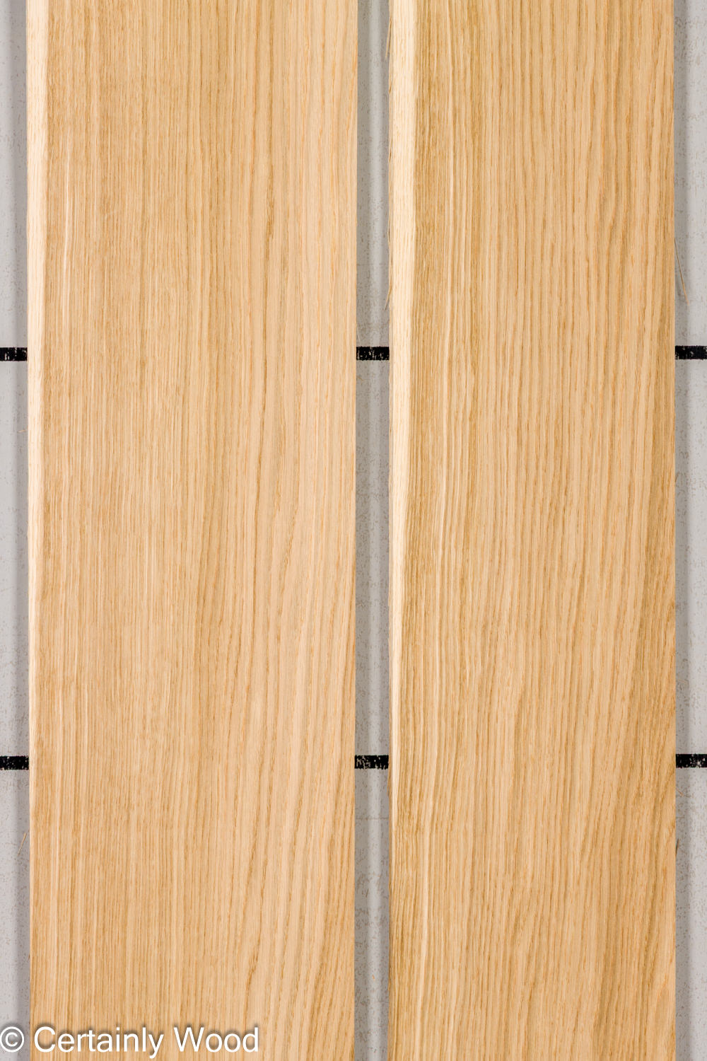 Featured Product Image