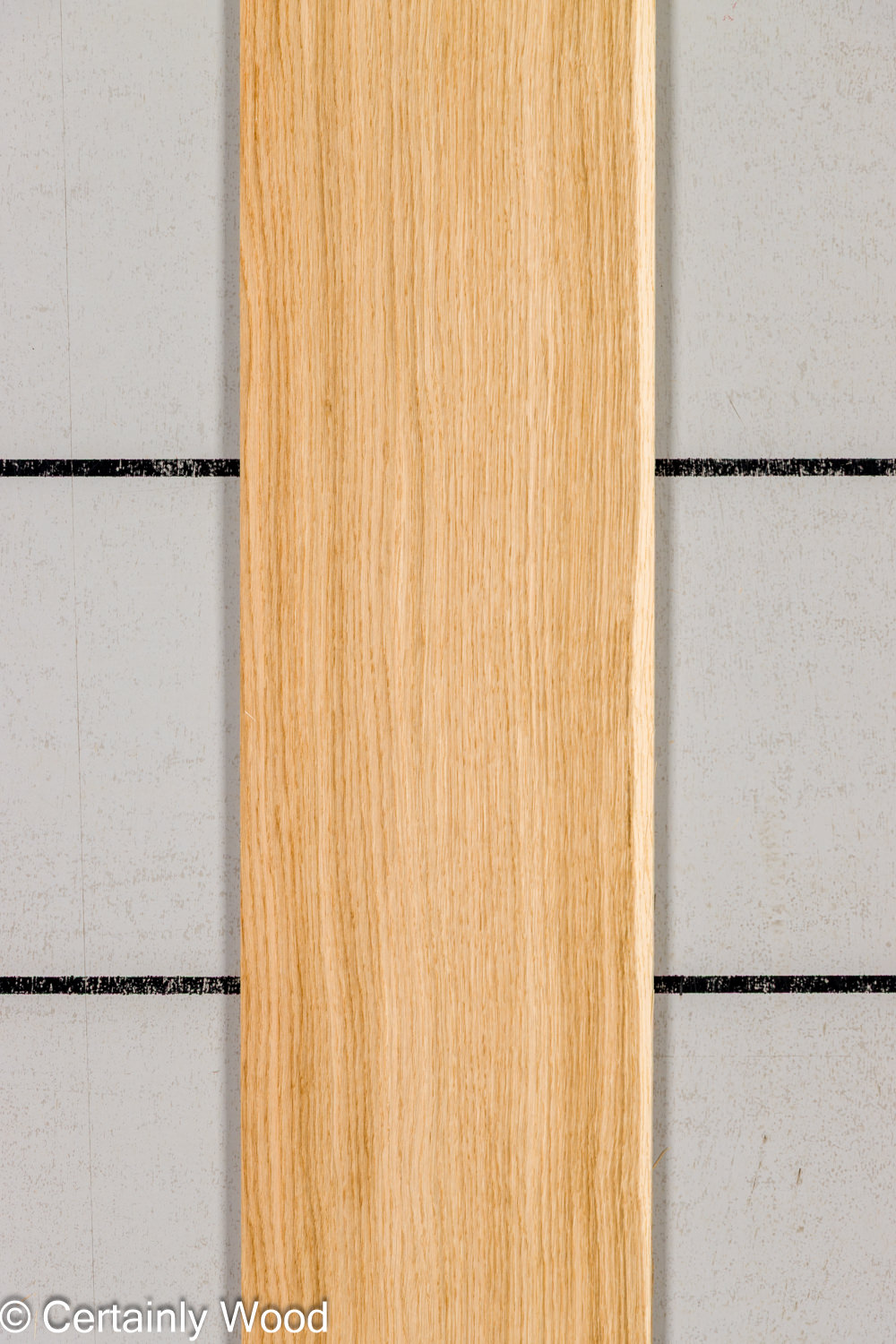 Featured Product Image
