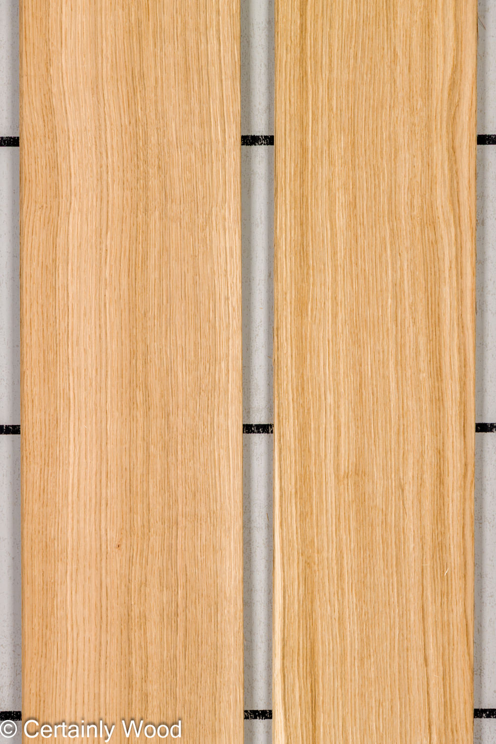 Featured Product Image