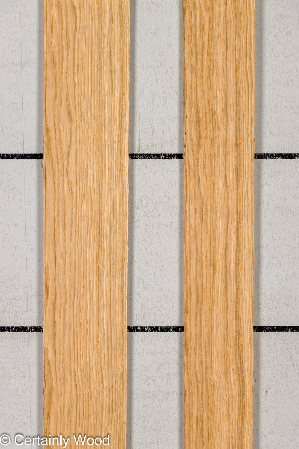 Featured Product Image