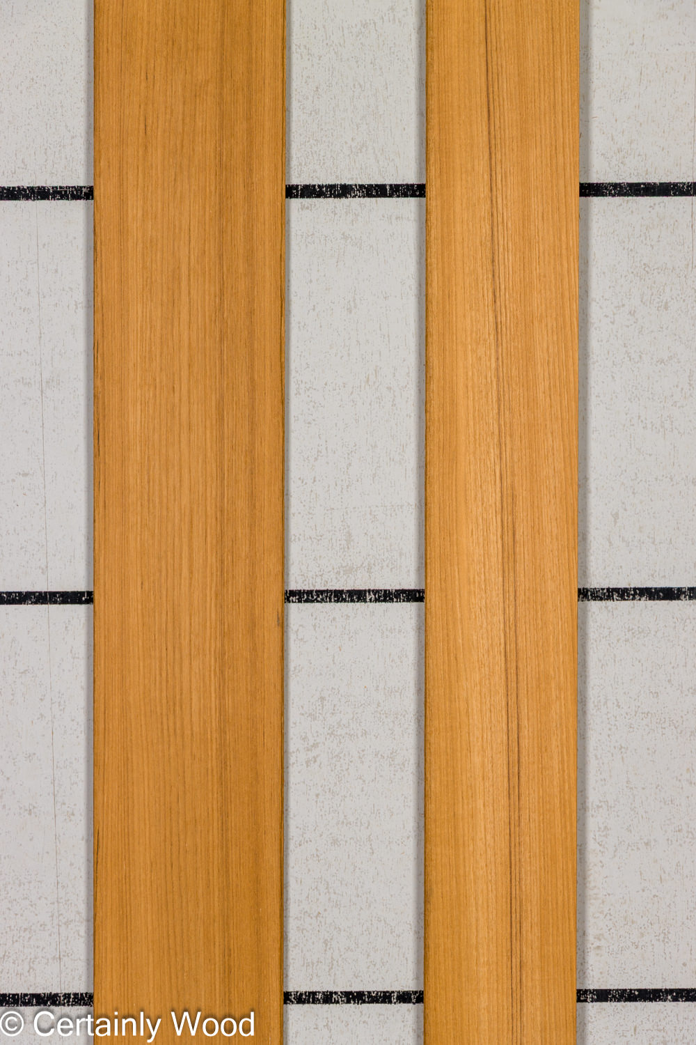 Featured Product Image