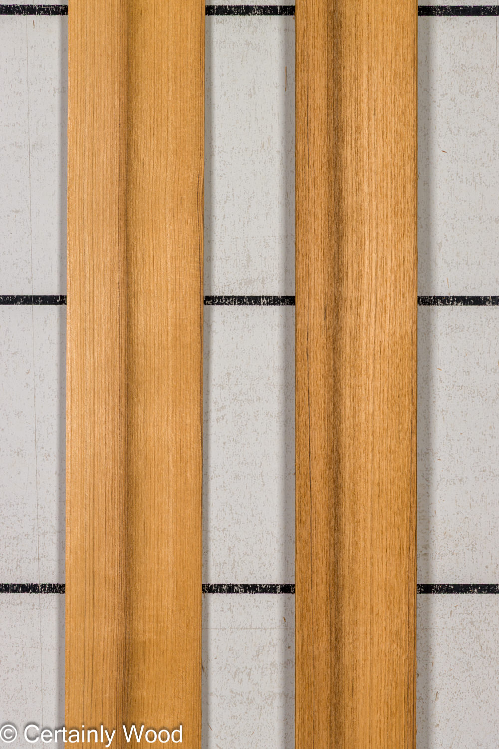 Featured Product Image