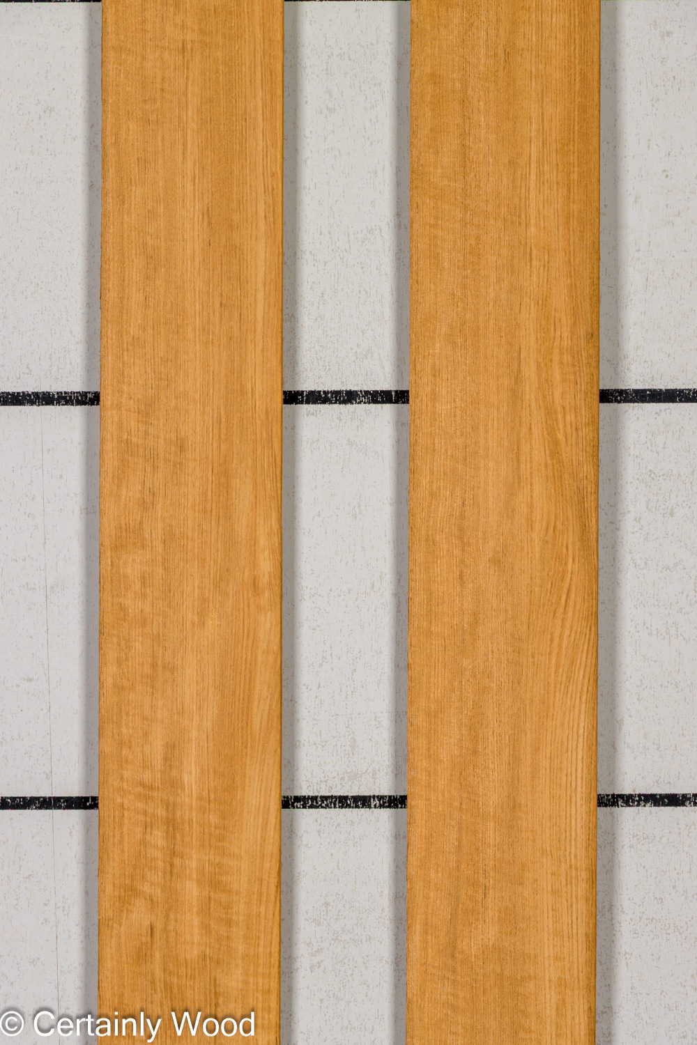 Featured Product Image
