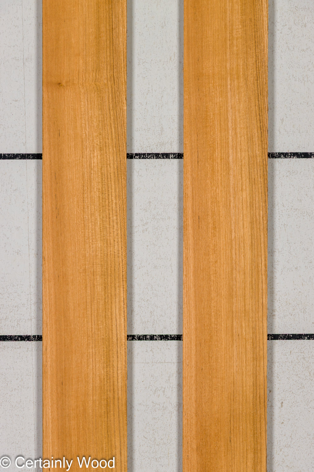 Featured Product Image