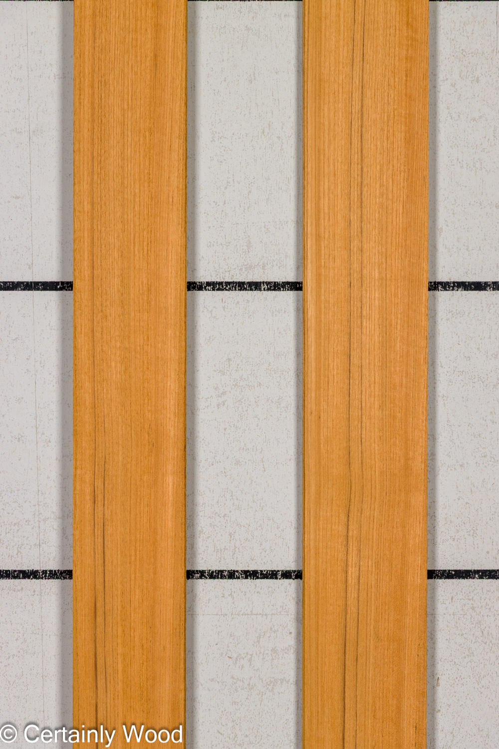 Featured Product Image