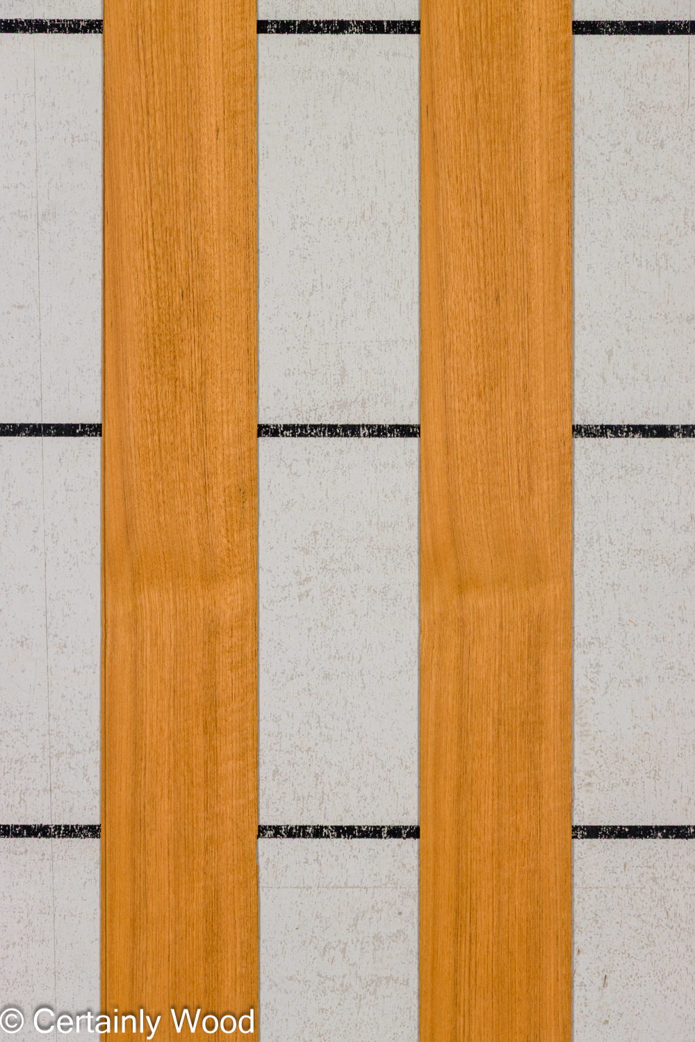 Featured Product Image