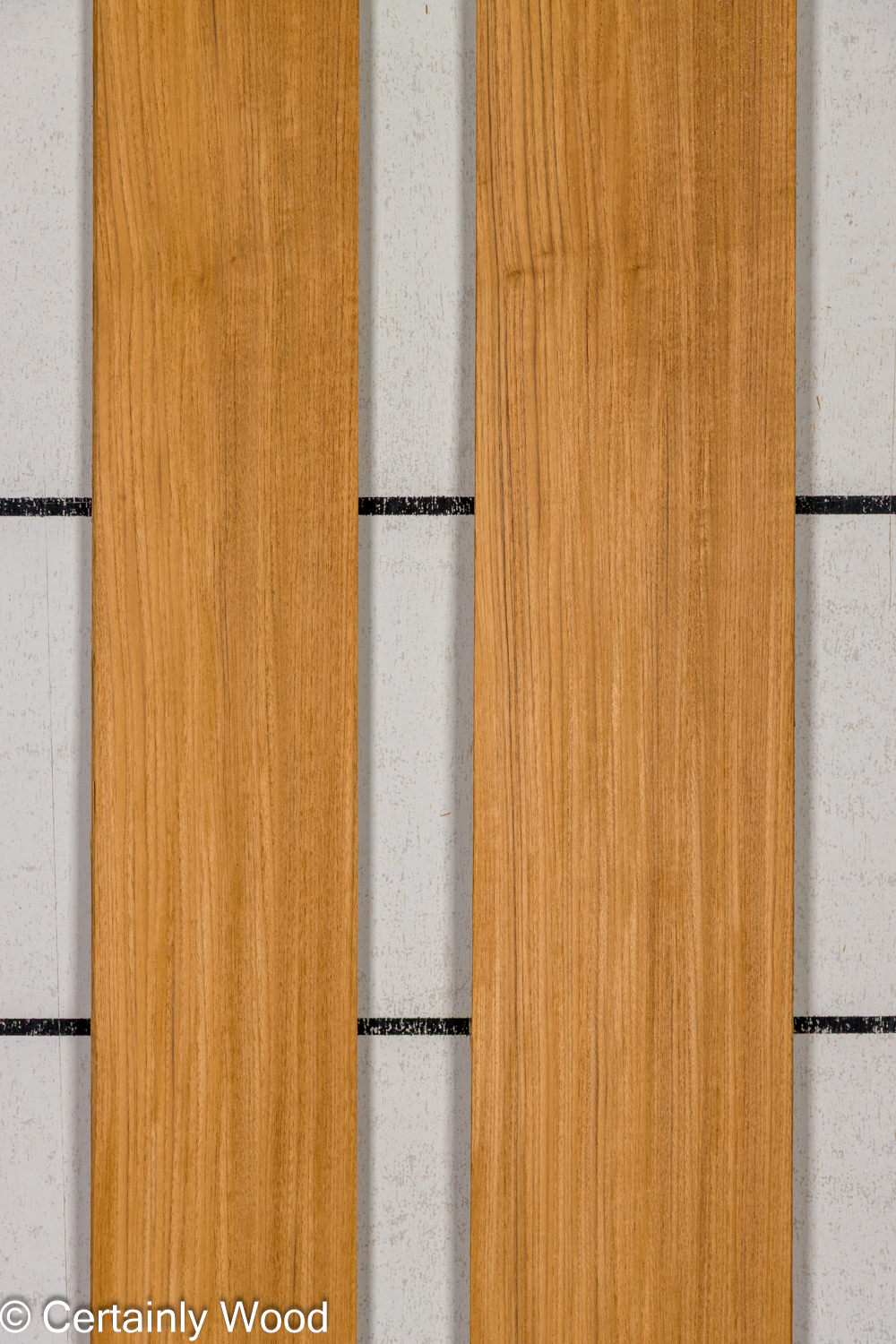 Featured Product Image