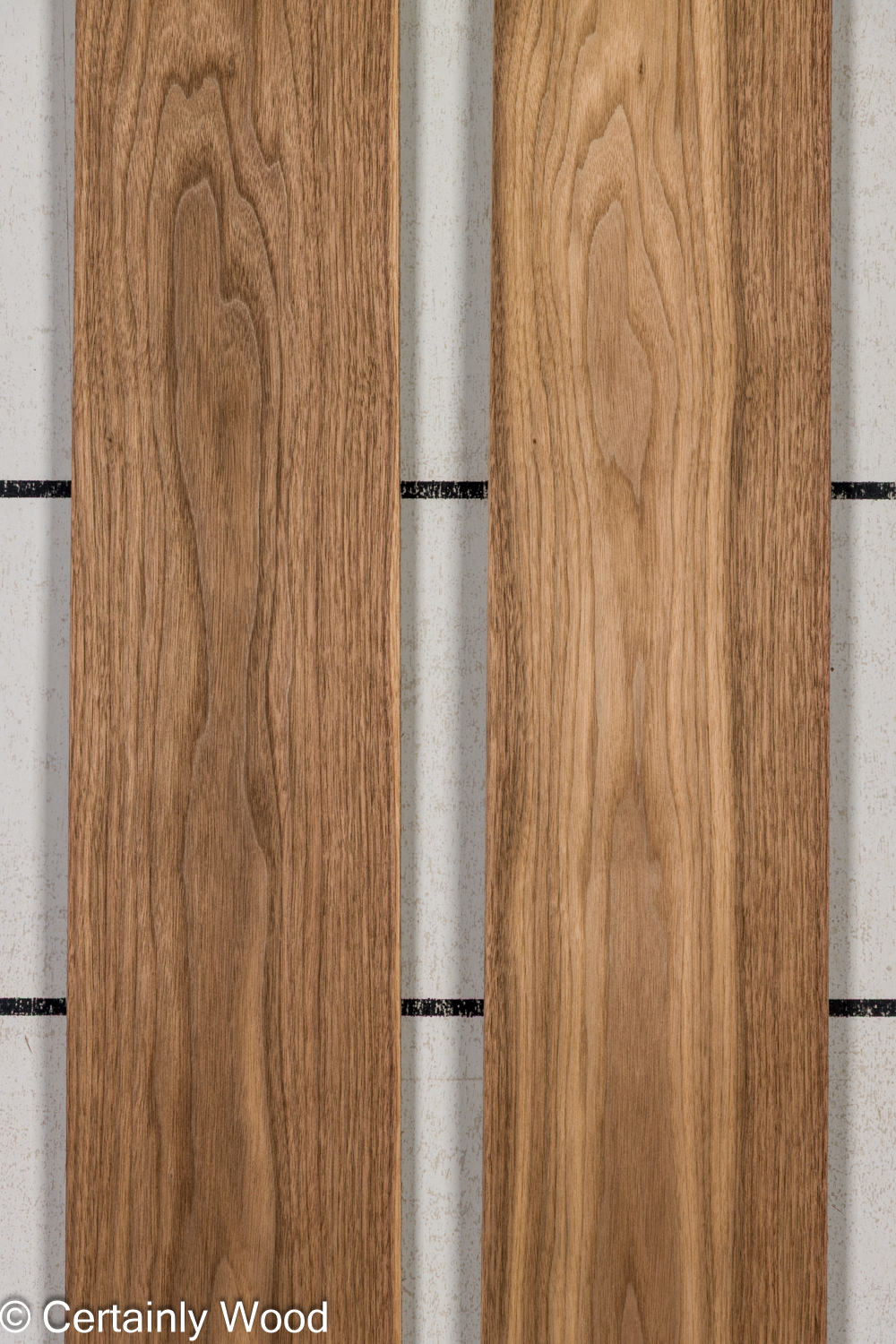 Featured Product Image