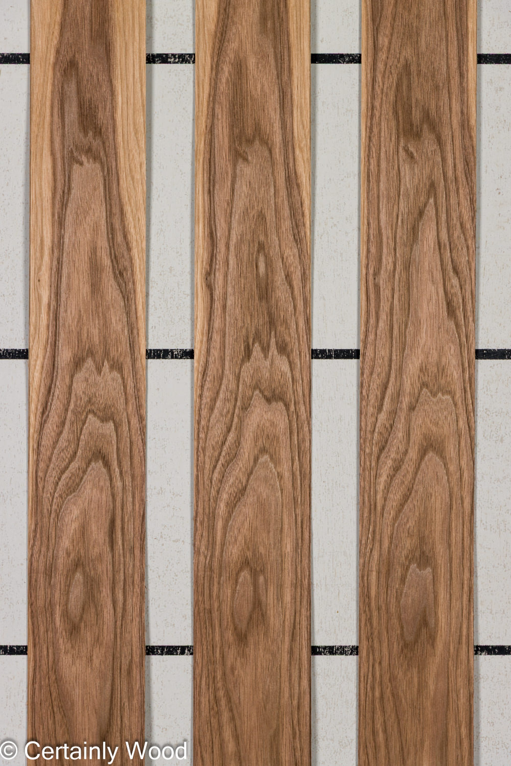 Featured Product Image