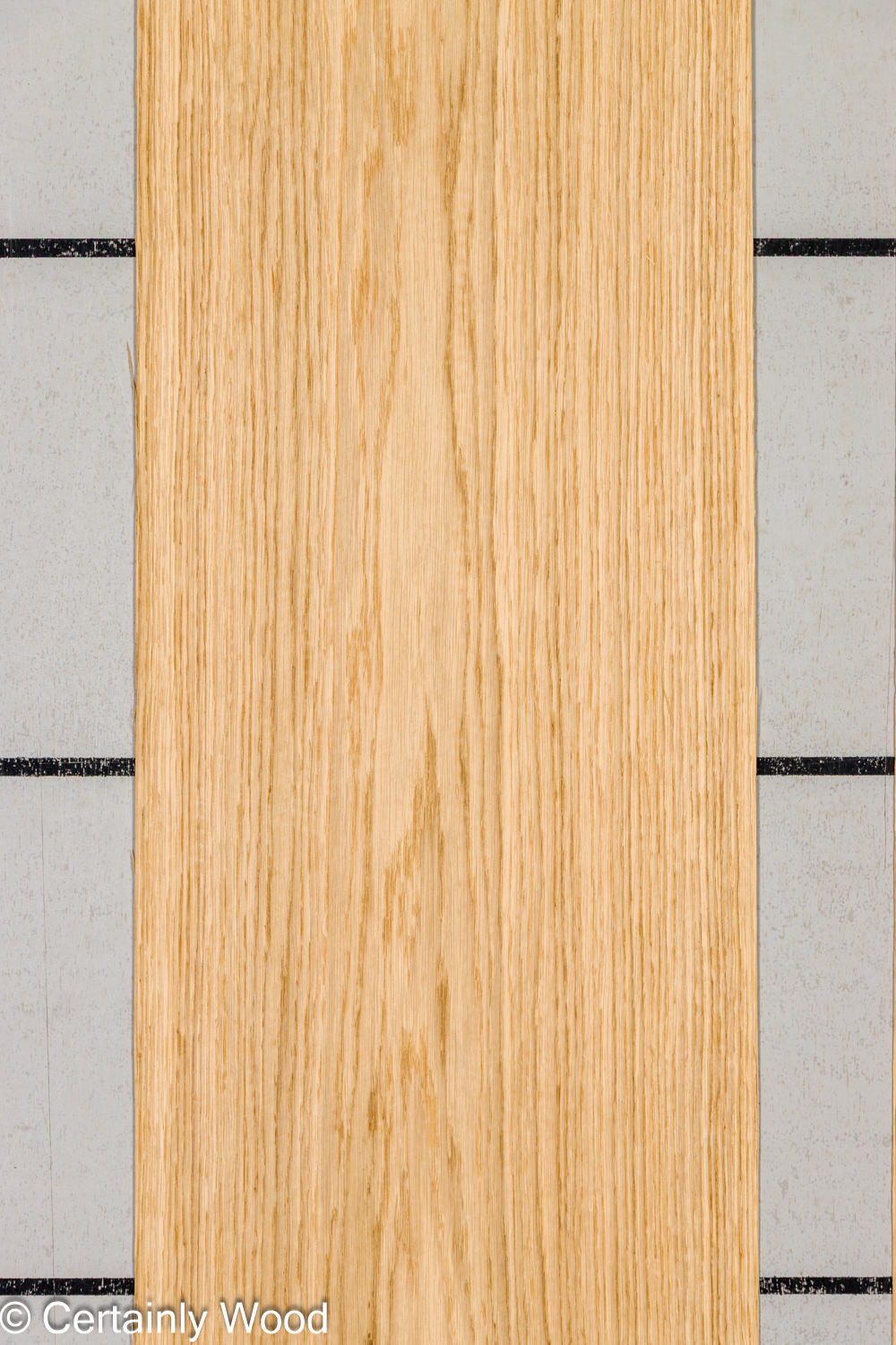 Featured Product Image