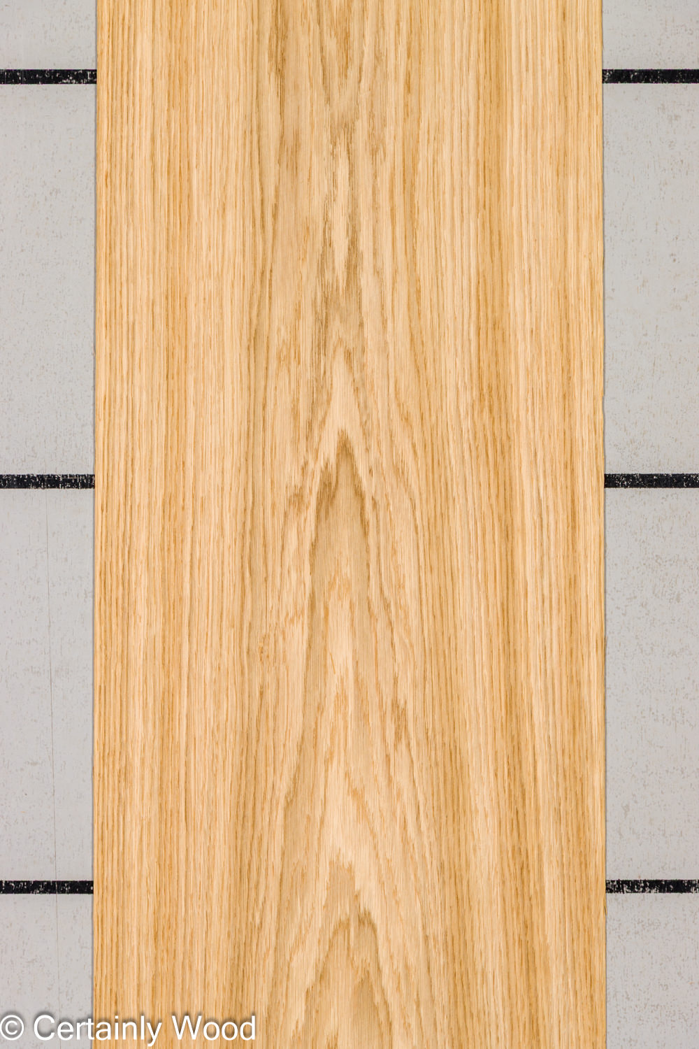 Featured Product Image
