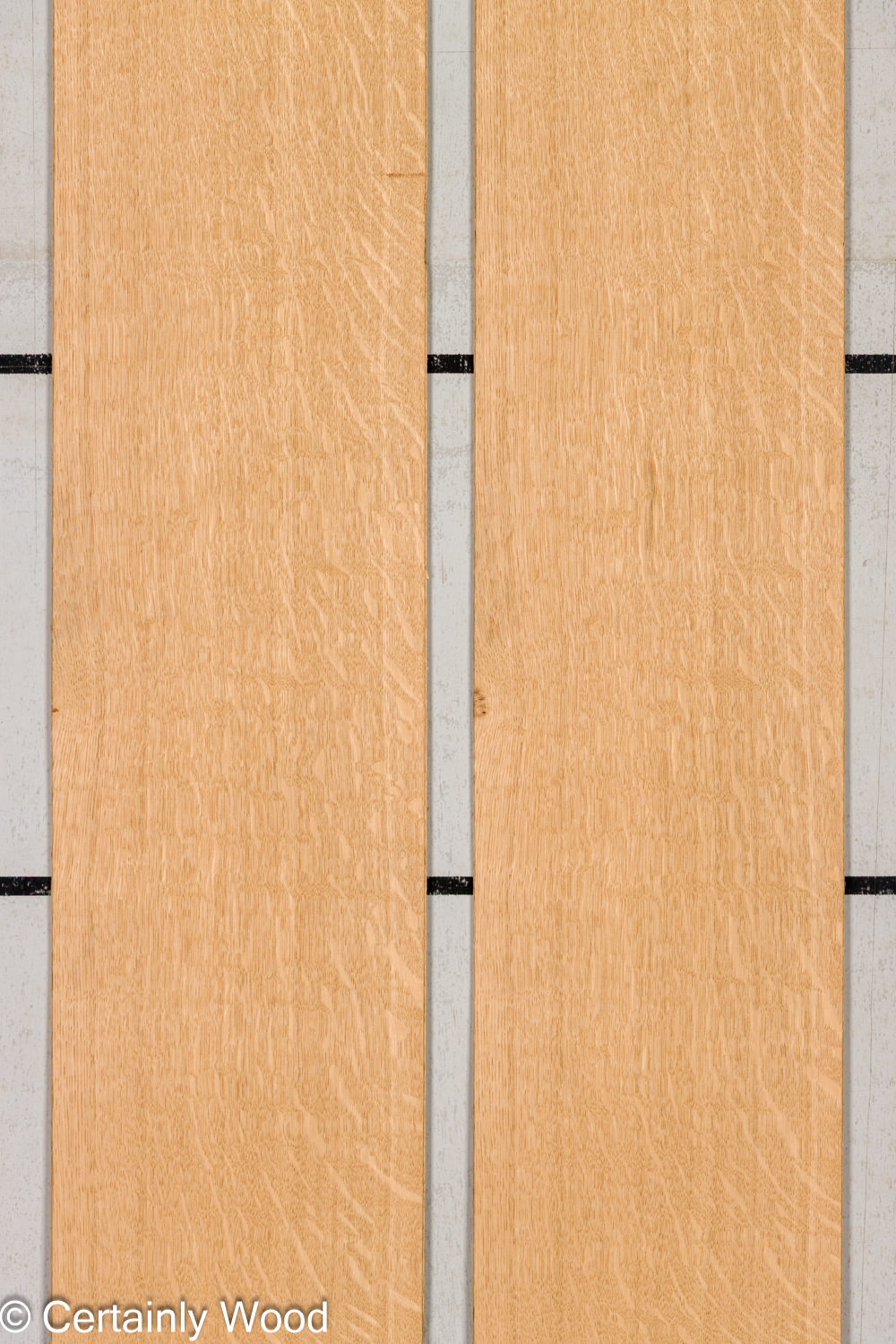 Featured Product Image