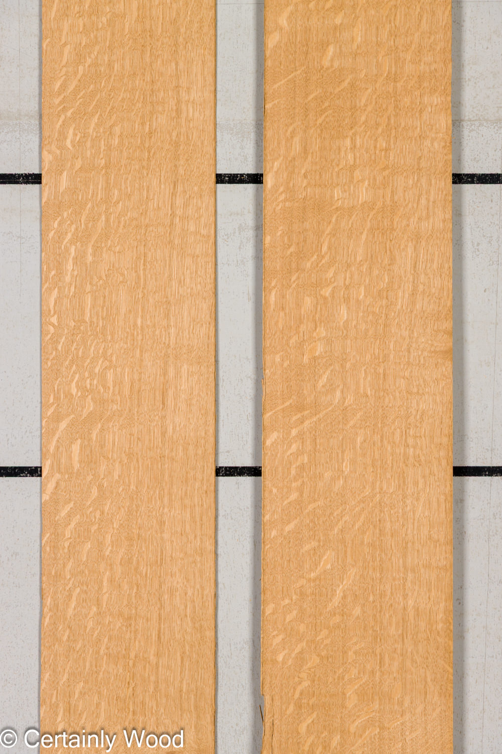 Featured Product Image