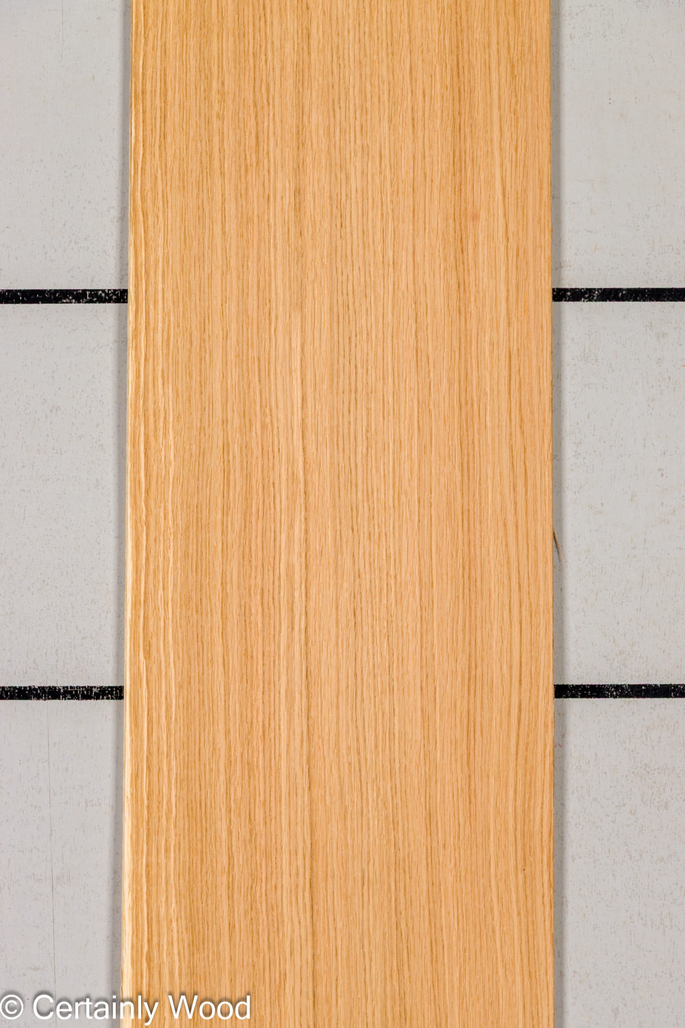 Featured Product Image