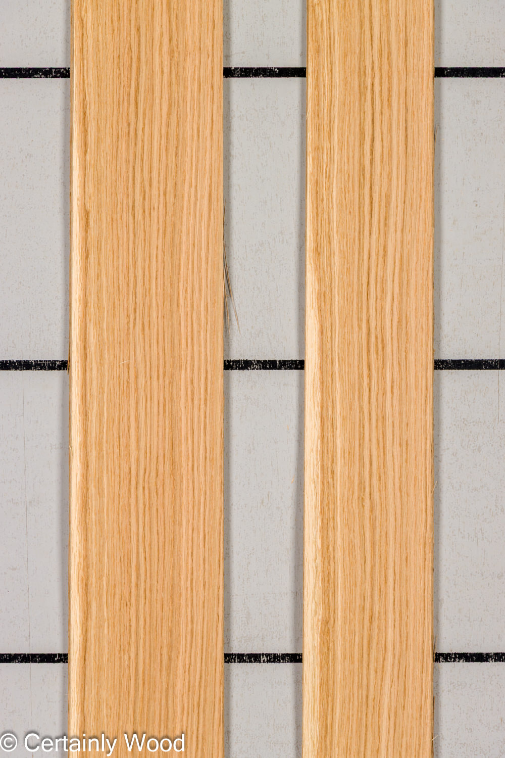 Featured Product Image