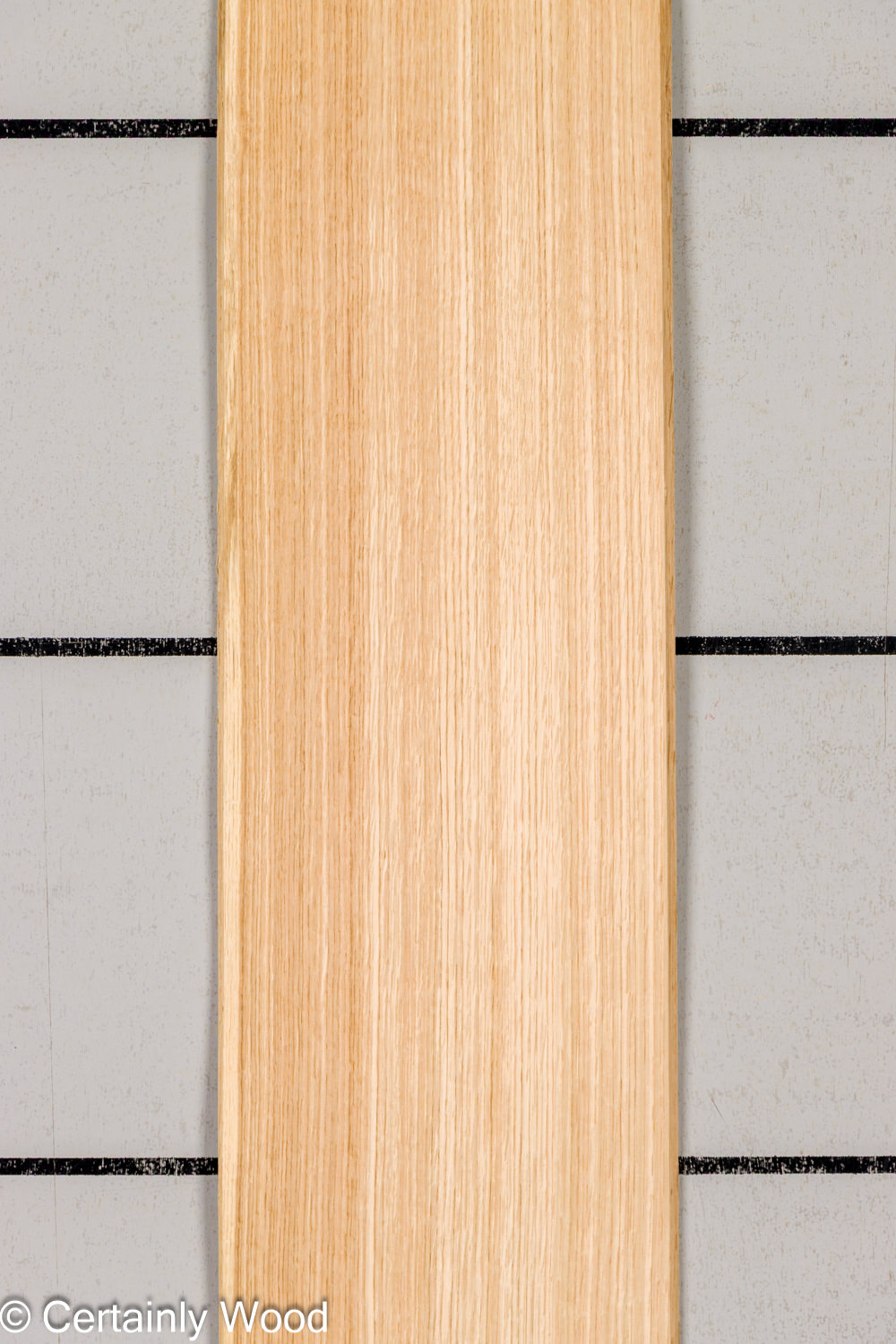 Featured Product Image