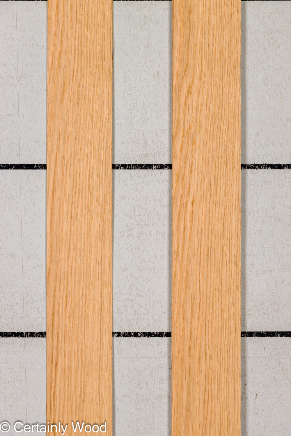 Featured Product Image