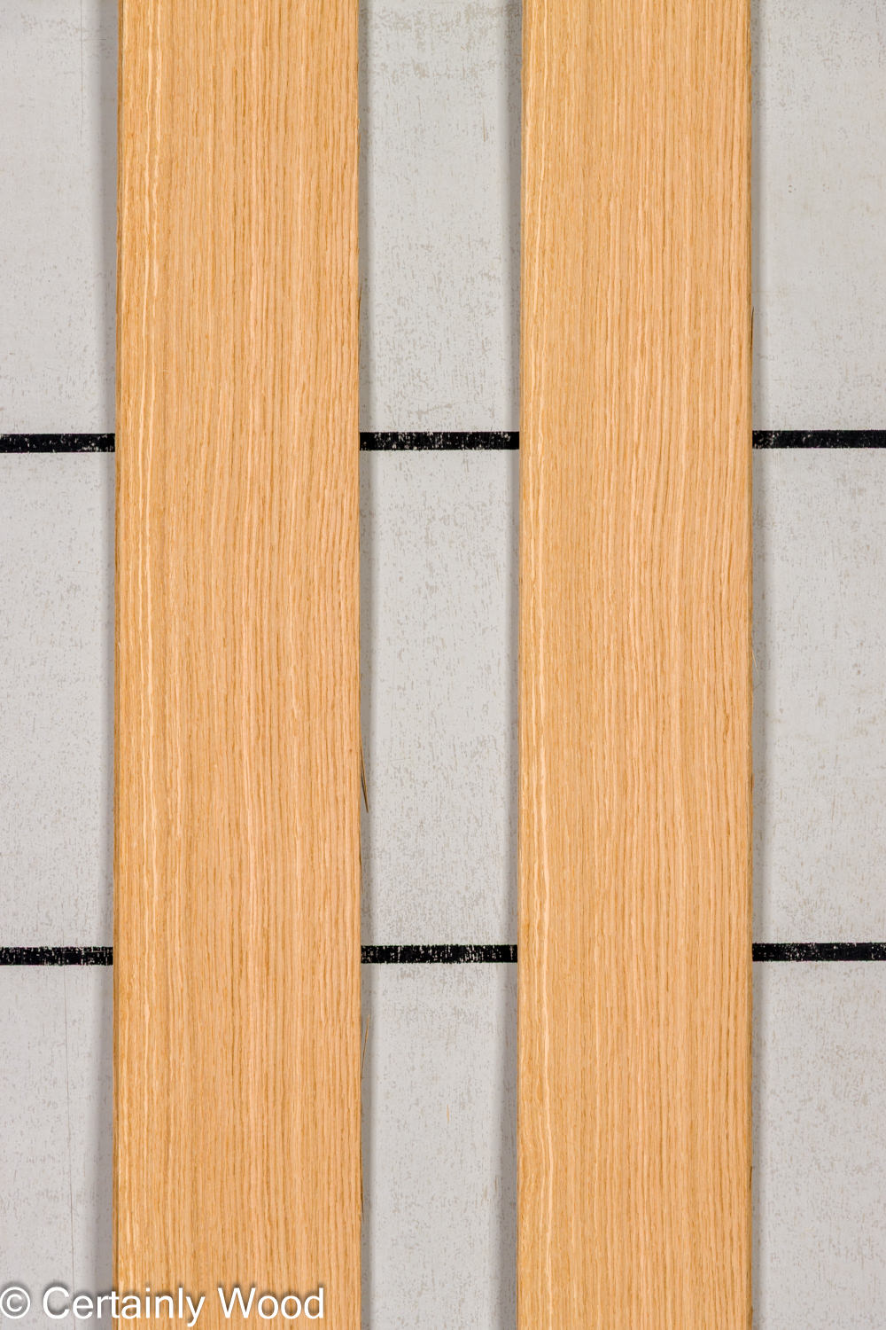 Featured Product Image