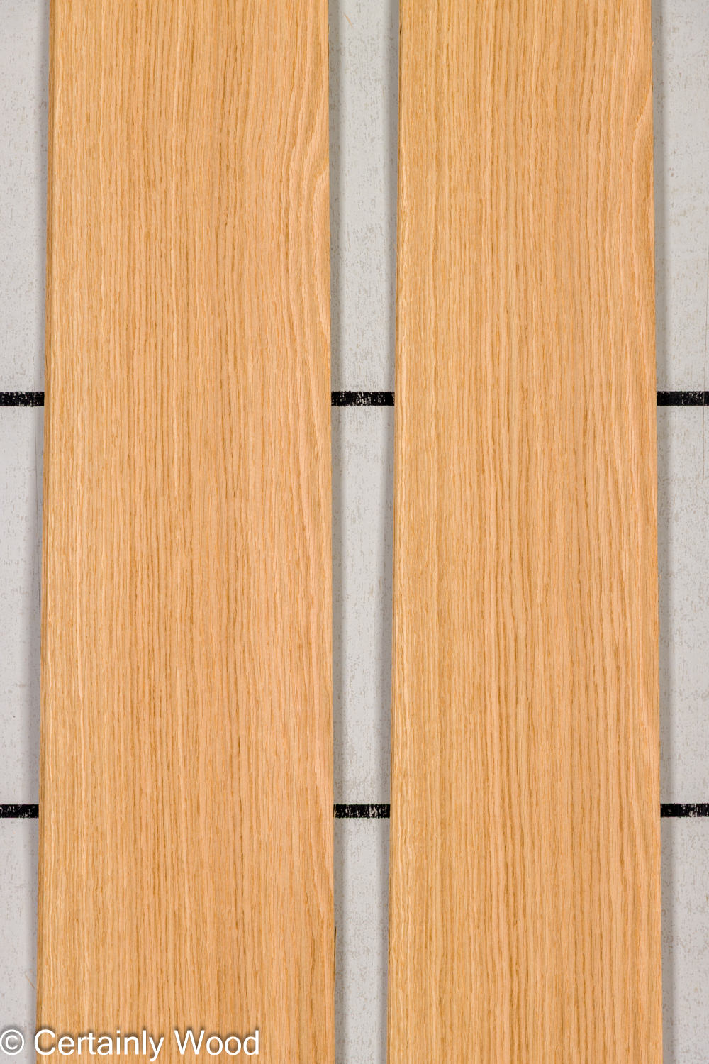 Featured Product Image