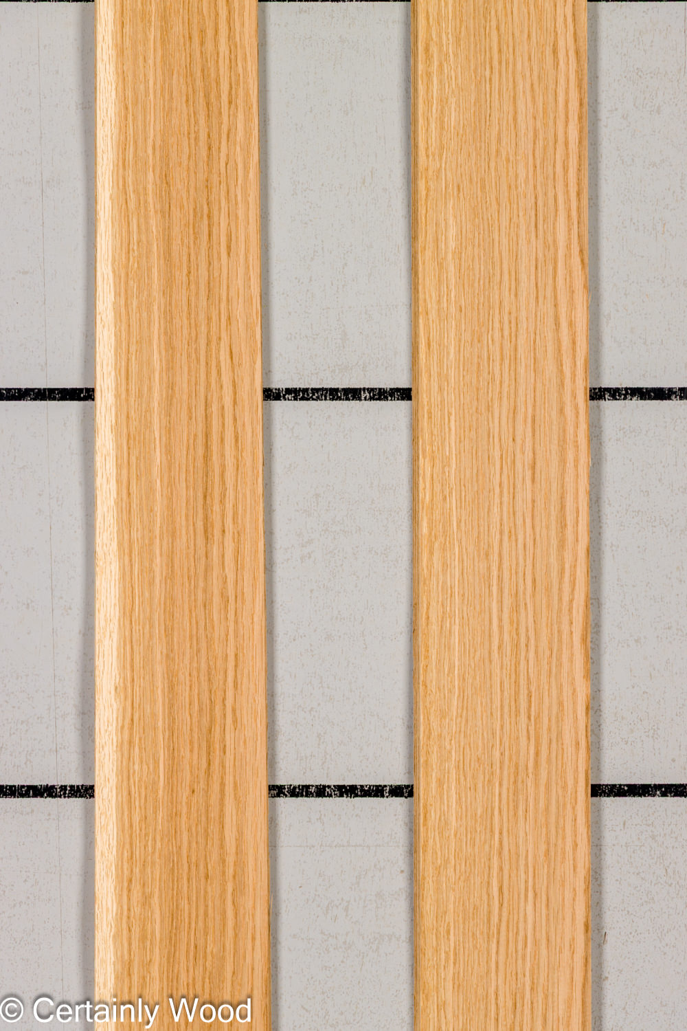 Featured Product Image