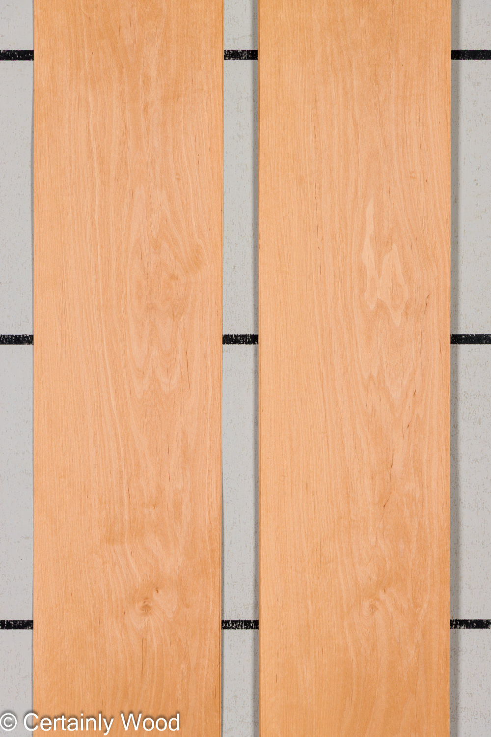 Featured Product Image