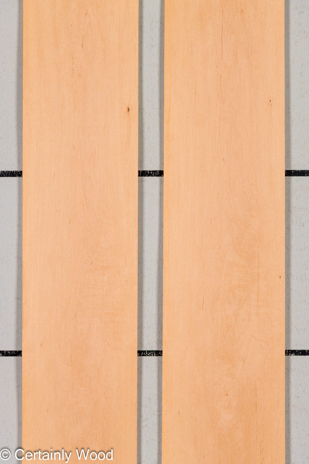 Featured Product Image