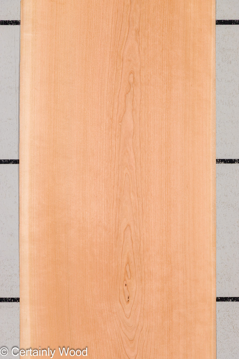 Featured Product Image
