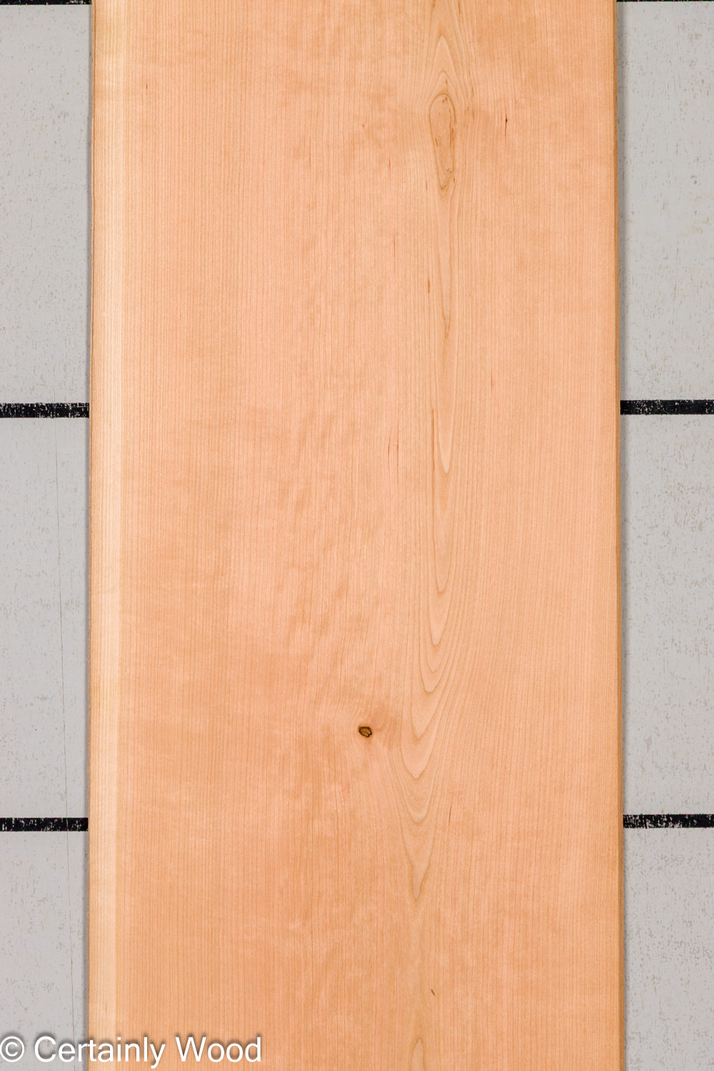 Featured Product Image