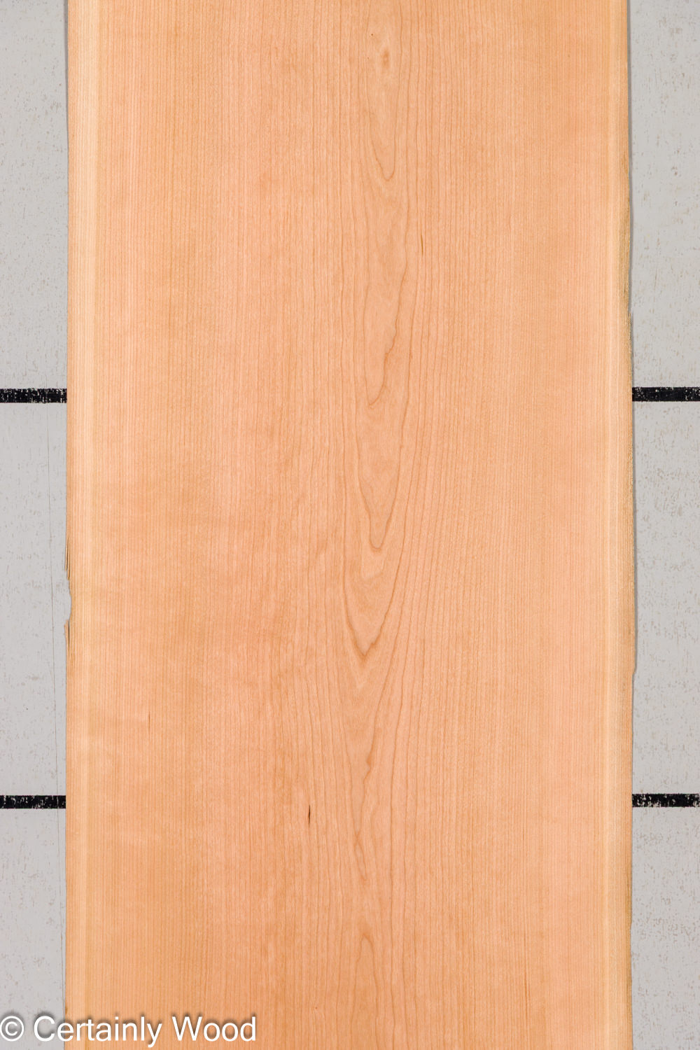 Featured Product Image