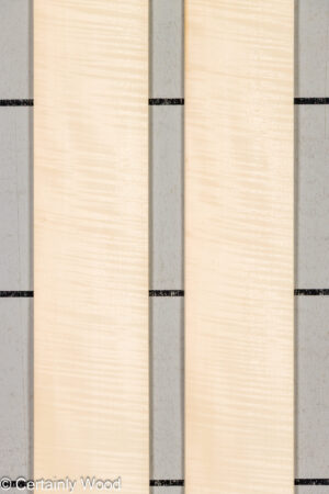 FB SYC 26266-10